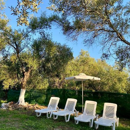 Endless Green: Feel Free And Cozy In Nature Perivólion Dış mekan fotoğraf