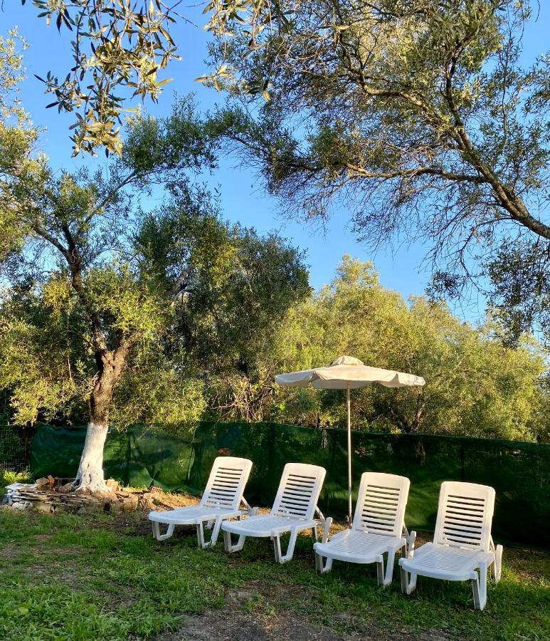 Endless Green: Feel Free And Cozy In Nature Perivólion Dış mekan fotoğraf