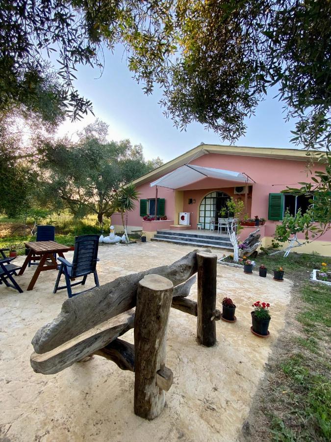 Endless Green: Feel Free And Cozy In Nature Perivólion Dış mekan fotoğraf